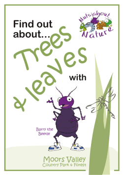 Discover Trees - Moors Valley Country Park and Forest