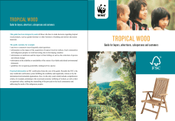 tropical wood