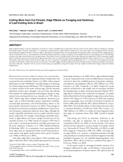 Cutting More from Cut Forests: Edge Effects on Foraging and