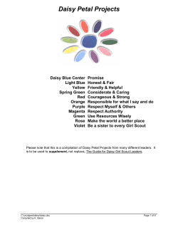 Daisy Petal Projects - Ames / Gilbert Girl Scouts