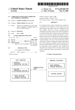 Computer system, host computer and terminal equipment