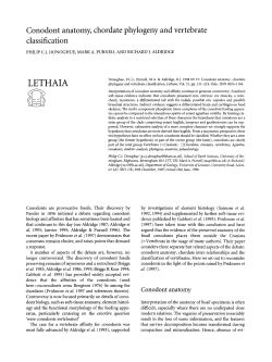 Conodont anatomy, chordate phylogeny and