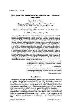 as a PDF