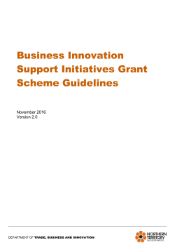 Business Innovation Support Initiatives Grant Scheme Guidelines