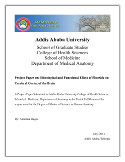 Project Paper on: Histological and Functional Effect of Fluoride on