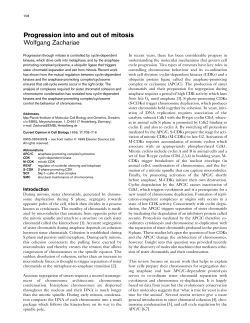 Progression into and out of mitosis Wolfgang Zachariae - MPI