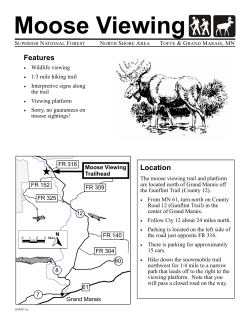 Moose Viewing - Visit Cook County