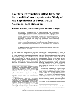 Do Static Externalities Offset Dynamic Externalities?