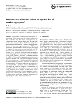 Does ocean acidification induce an upward flux of
