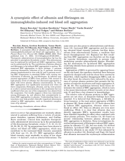 A synergistic effect of albumin and fibrinogen on immunoglobulin