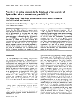 Negatively cis-acting elements in the distal part of the promoter of