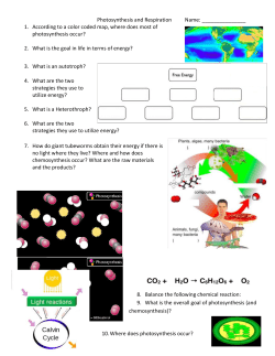 Photosynthesis and Respiration Name: 1. According to a color