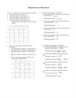 Dihybrid Cross KEY