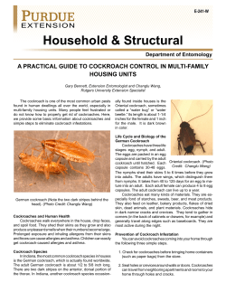 Cockroach Control - Purdue Extension Entomology