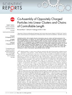 Co-Assembly of Oppositely Charged Particles into Linear