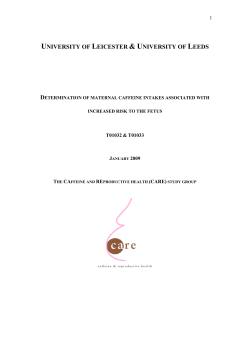 Plan for the final report of T01032/33