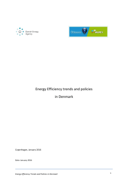 Energy Efficiency trends and policies in Denmark - ODYSSEE-MURE