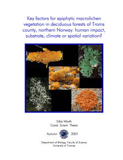 Key factors for epiphytic macrolichen vegetation in deciduous forests