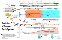 Micrografx Designer 7