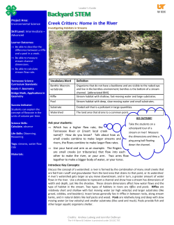 GI-Water-Creek Critters B