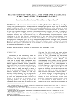 field disposition of the marginal strip of the river dike utilising
