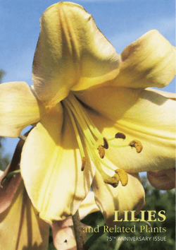 lilies - RHS Lily Group