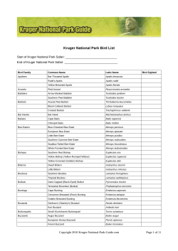 Kruger National Park Bird List