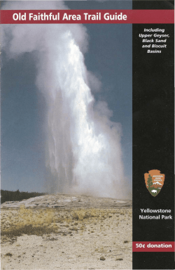 Old Faithful Area Trail Guide