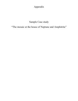 Appendix Sample Case study &ldquo;The mosaic at the house of Neptune
