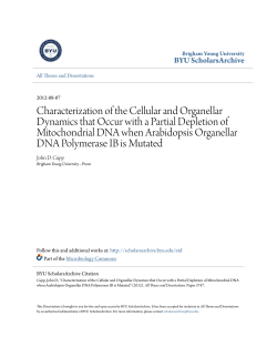 Characterization of the Cellular and Organellar Dynamics that Occur
