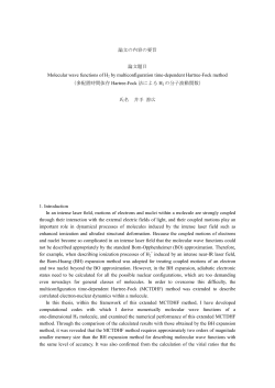論文の内容の要旨 論文題目 Molecular wave functions of H2 by