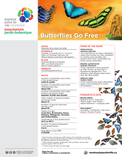 Butterflies Go Free - Espace pour la vie