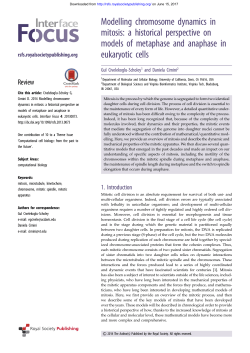 Modelling chromosome dynamics in mitosis: a
