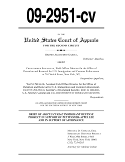 Amicus Brief - Immigrant Defense Project