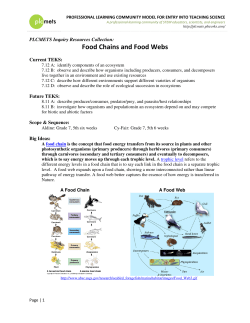 Food Chains and Food Webs - PLC-METS