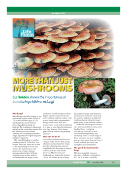 than just mushrooms - The Association for Science Education