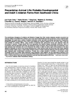 Precambrian Animal Life: Probable