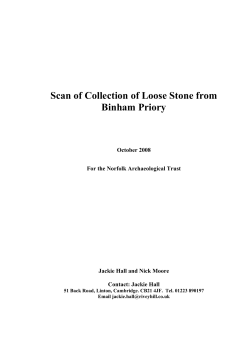 Stone report - Norfolk Archaeological Trust