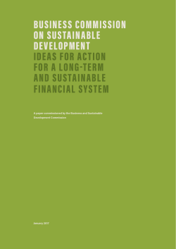 Ideas for Action for a Long-Term and Sustainable Financial System