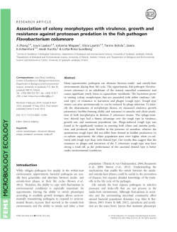 Association of colony morphotypes with virulence, growth and