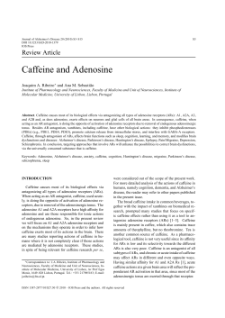 Caffeine and Adenosine