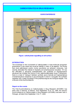 carbohydrates in drug research