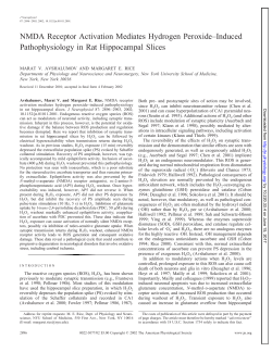 NMDA Receptor Activation Mediates Hydrogen Peroxide&ndash;Induced