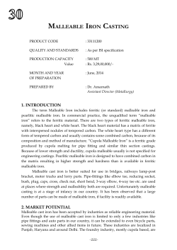 MALLEABLE IRON CASTING - Msmedinewdelhi.gov.in