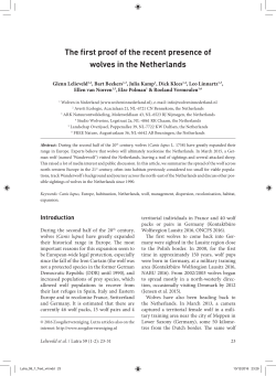 The first proof of the recent presence of wolves in