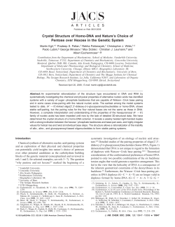 Crystal Structure of Homo-DNA and Nature`s Choice of Pentose over