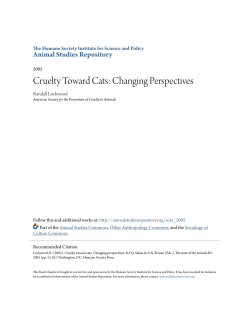 Cruelty Toward Cats: Changing Perspectives