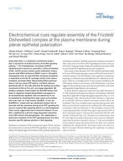 electrochemical cues regulate assembly of the Frizzled/ Dishevelled