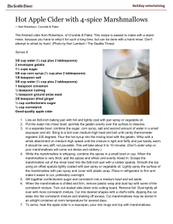 Hot Apple Cider with 4-spice Marshmallows