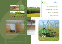 short rotation coppice willow best practice guidelines